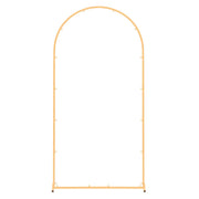 Arch Backdrop Stand, 2 x 1 m, Stable Structure, Easy Assembly, 1 Set Gold Metal Arch Backdrop Stand for V952-BYDGMJDJT66FVMQ73001V0