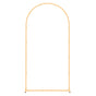 Arch Backdrop Stand, 2 x 1 m, Stable Structure, Easy Assembly, 1 Set Gold Metal Arch Backdrop Stand for V952-BYDGMJDJT66FVMQ73001V0