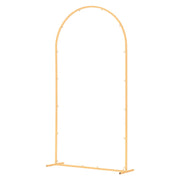 Arch Backdrop Stand, 2 x 1 m, Stable Structure, Easy Assembly, 1 Set Gold Metal Arch Backdrop Stand for V952-BYDGMJDJT66FVMQ73001V0