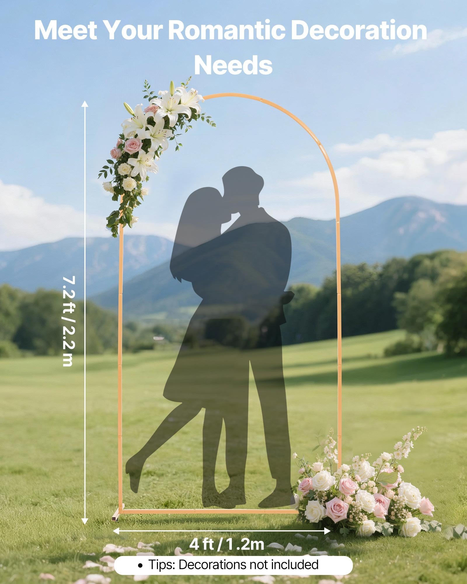 Arch Backdrop Stand, 2.2 x 1.2 m, Stable Structure, Easy Assembly, 1 Set Gold Metal Arch Backdrop Stand for V952-BYDGMJDJT72FCTPRA001V0