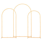 Arch Backdrop Stand, Set of 3, 2.2/2/1.8 m , Stable Structure, Easy Assembly, Gold Metal Arch Backdrop Stand V952-BYDGMJSJT72FV0MUO001V0