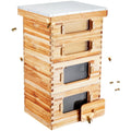 Bee Hive 40 Frame Bee Hives Starter Kit, Beeswax Coated Cedar Wood, 2 Deep + 2 Medium Bee Boxes Langstroth V952-CTFXSMSHX2ZH12ZO0V0