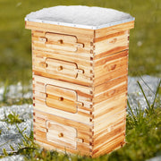Bee Hive 40 Frame Bee Hives Starter Kit, Beeswax Coated Cedar Wood, 2 Deep + 2 Medium Bee Boxes Langstroth V952-CTFXSMSHX2ZH12ZO0V0