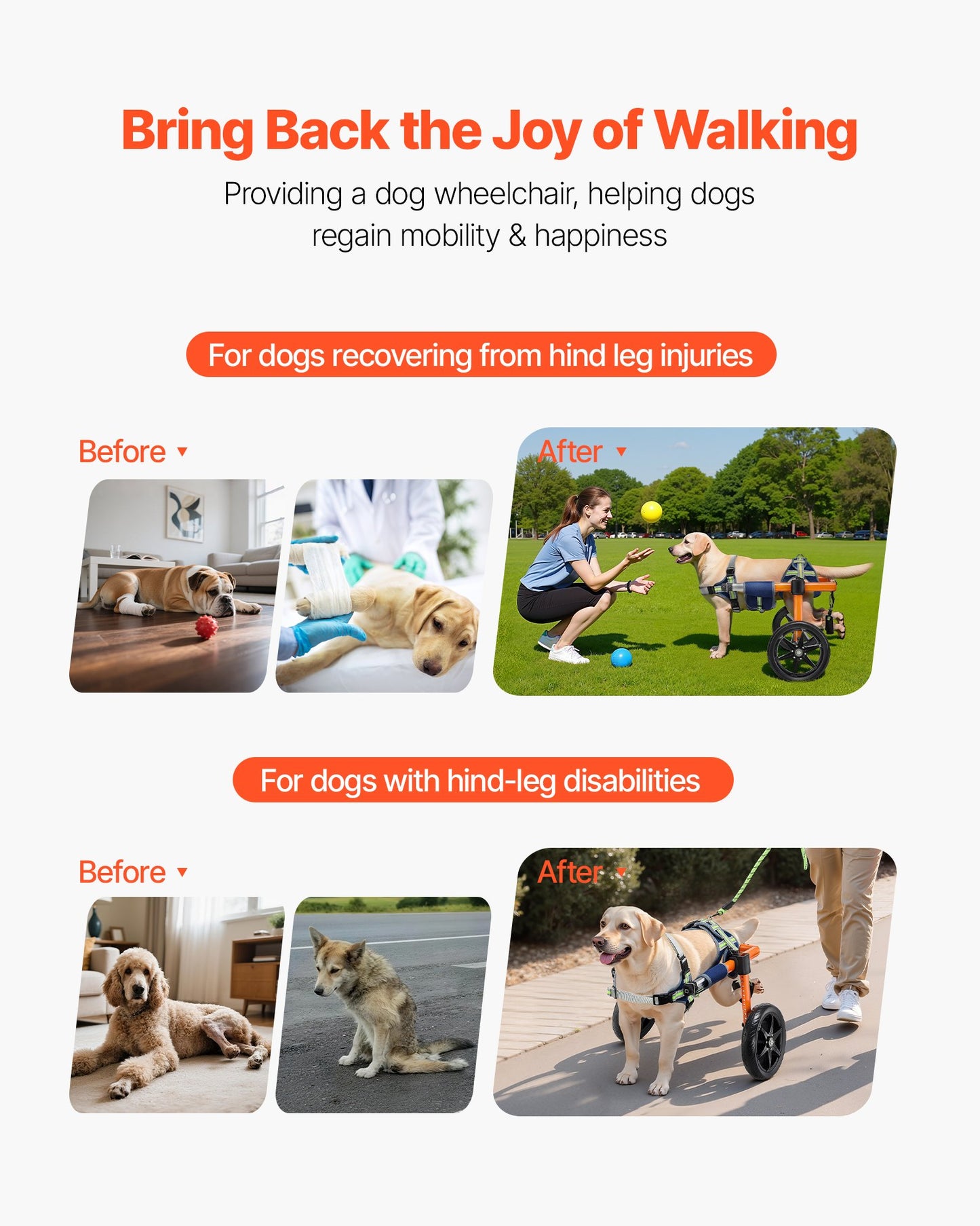 Dog Wheelchair for Back Legs, Lightweight 2 Wheels Pet Wheelchair, Height, Width & Length Adjustable, Dog V952-CWLYLLSDHLLLEG3Z4001V0