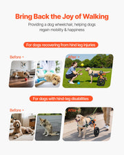 Dog Wheelchair for Back Legs, Lightweight 2 Wheels Pet Wheelchair, Height, Width & Length Adjustable, Dog V952-CWLYLLSDHLLLEG3Z4001V0