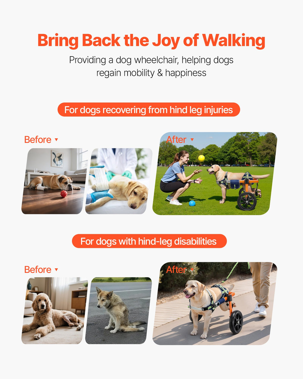 Dog Wheelchair for Back Legs, Lightweight 2 Wheels Pet Wheelchair, Height, Width & Length Adjustable, Dog V952-CWLYLLSDHLLLEG3Z4001V0