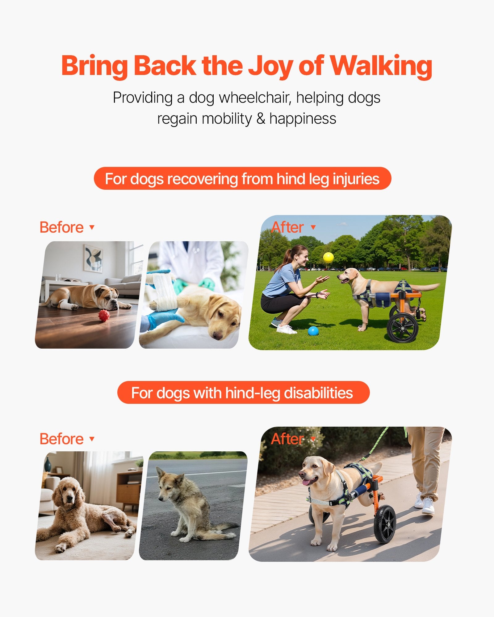 Dog Wheelchair for Back Legs, Lightweight 2 Wheels Pet Wheelchair, Height, Width & Length Adjustable, Dog V952-CWLYLLSDHLLLEG3Z4001V0