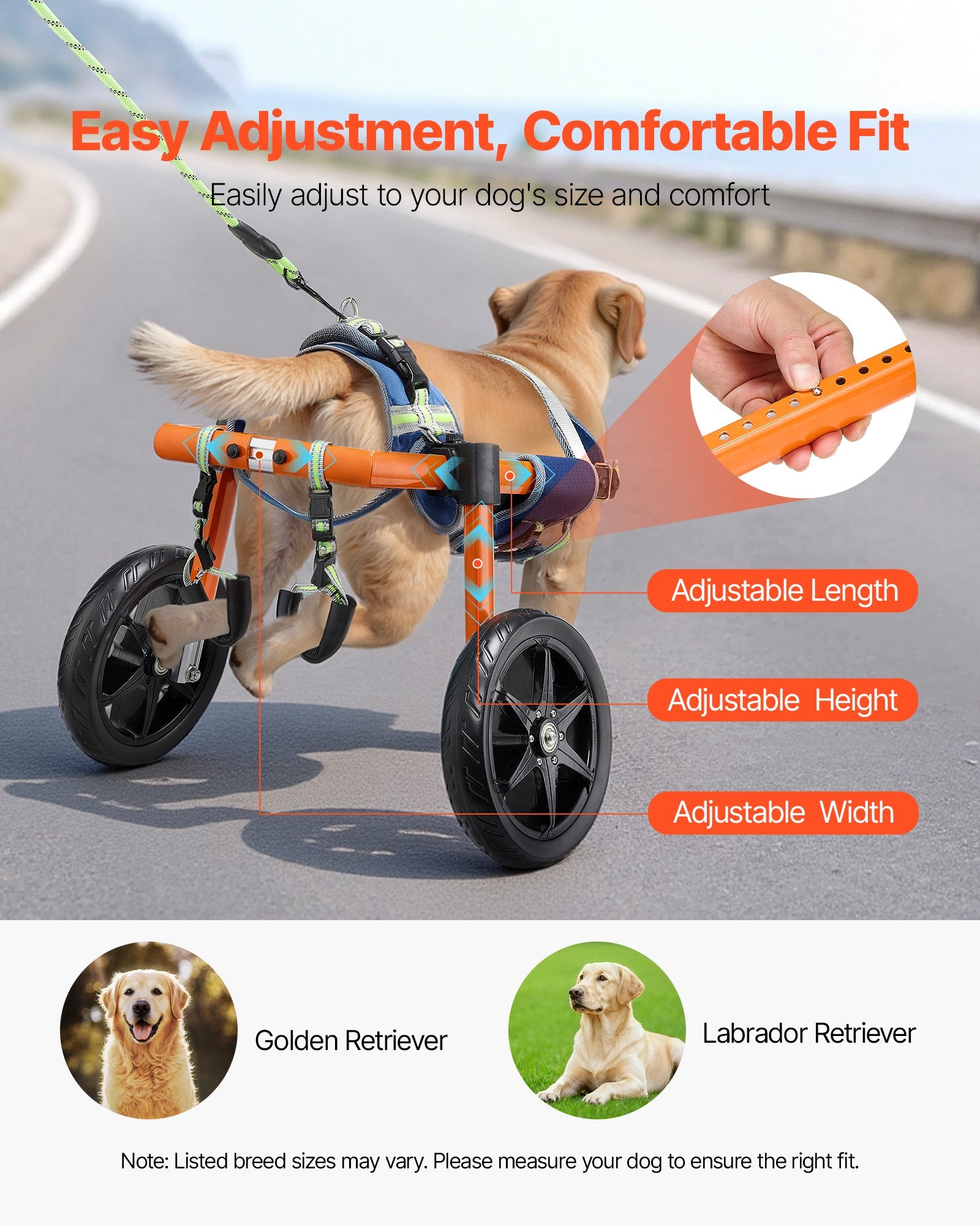 Dog Wheelchair for Back Legs, Lightweight 2 Wheels Pet Wheelchair, Height, Width & Length Adjustable, Dog V952-CWLYLLSDHLLLEG3Z4001V0