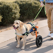Dog Wheelchair for Back Legs, Lightweight 2 Wheels Pet Wheelchair, Height, Width & Length Adjustable, Dog V952-CWLYLLSDHLLLEG3Z4001V0