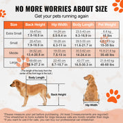 2 Wheels Dog Wheelchair for Back Legs, Pet Wheelchair Lightweight & Adjustable Assisting in Healing, Dog V952-CWLYLLSLLSZHTMYXJV0
