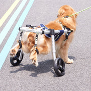 2 Wheels Dog Wheelchair for Back Legs, Pet Wheelchair Lightweight & Adjustable Assisting in Healing, Dog V952-CWLYLLSLLSZHTMYXJV0