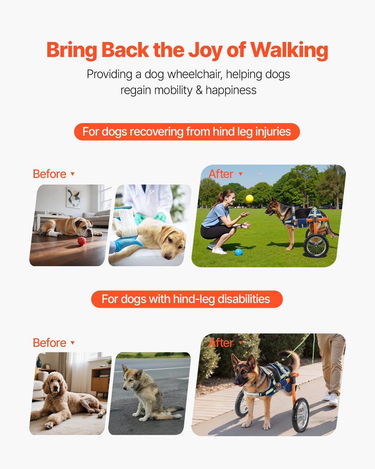 Dog Wheelchair for Back Legs, Lightweight 2 Wheels Pet Wheelchair, Height, Width & Length Adjustable, Dog V952-CWLYLLSTDHXL2W9B4001V0