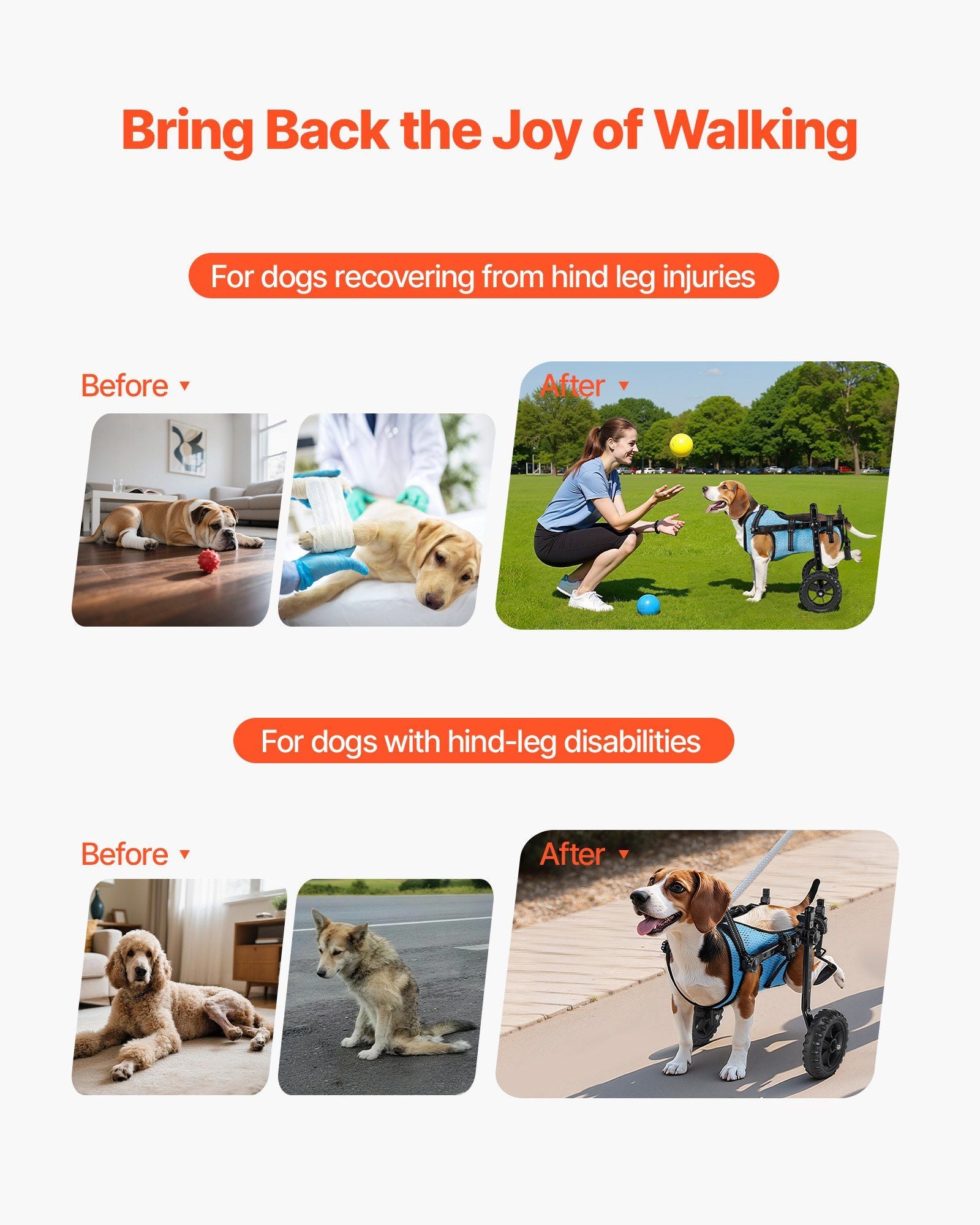 Dog Wheelchair for Back Legs, Adjustable 2 Wheels Pet Wheelchair, Lightweight  Dog Cart with Shock-Absorbing Wheels, Mobility Support Wheel Chair for Disabled Injured Dogs up to 10kg, Small