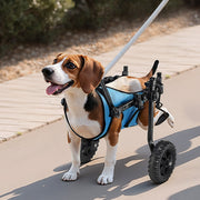 Dog Wheelchair for Back Legs, Adjustable 2 Wheels Pet Wheelchair, Lightweight  Dog Cart with Shock-Absorbing Wheels, Mobility Support Wheel Chair for Disabled Injured Dogs up to 10kg, Small