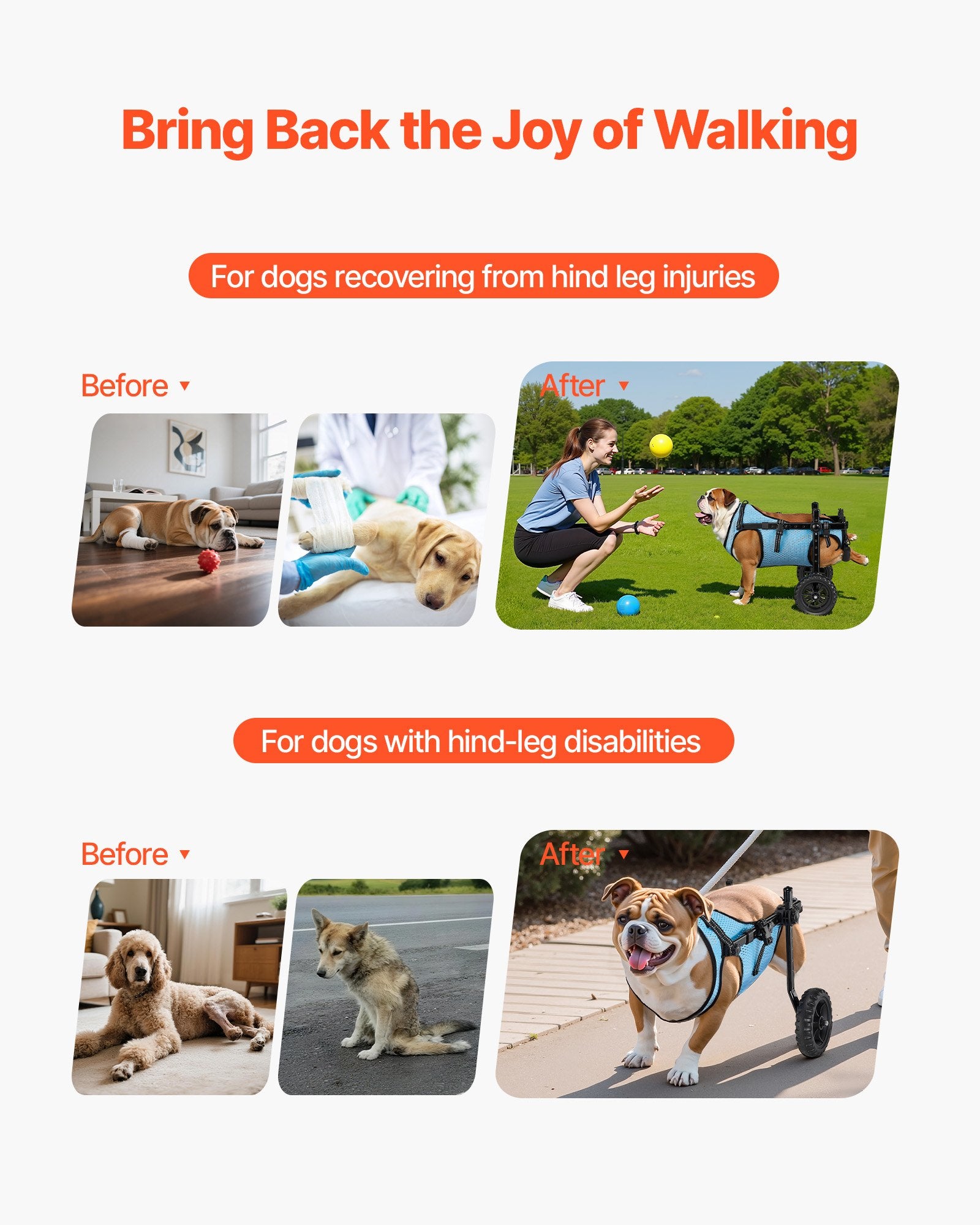 Dog Wheelchair for Back Legs, Adjustable 2 Wheels Pet Wheelchair, Lightweight Dog Cart with Shock-Absorbing Wheels, Mobility Support Wheel Chair for Disabled Injured Dogs up to 15kg, Medium