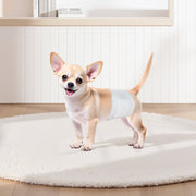 Disposable Male Dog Diapers, Super Absorbent Male Dog Wraps, 360 degrees Leak-Proof Belly Bands with Wetness V952-CWNBFDGG96PXSWPWY001V0