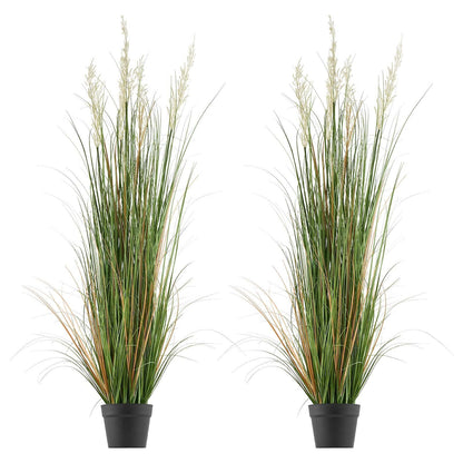 Artificial Grass Plant, 2 Pack 1194mm Reed Flower Grass in Pot, Premium PVC Faux Fake Greenery Shrubs Plant V952-DPKLWHLS47INM48C5001V0