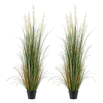 Artificial Grass Plant, 2 Pack 1499mm Faux Reed Flower Grass in Pot, Premium PVC Fake Greenery Shrubs Plant V952-DPKLWHLS59IND2ABK001V0