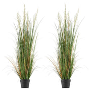 Artificial Grass Plant, 2 Pack 1499mm Faux Reed Flower Grass in Pot, Premium PVC Fake Greenery Shrubs Plant V952-DPKLWHLS59IND2ABK001V0