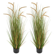 Artificial Grass Plant, 2 Pack 1194mm Horsetail Reed Grass in Pot, Premium PVC Faux Fake Greenery Shrubs V952-DPKMWCLS47INQSMT0001V0