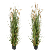 Artificial Grass Plant, 2 Pack 1499mm Horsetail Reed Grass in Pot, Premium PVC Faux Fake Greenery Shrubs V952-DPKMWCLS59INN4HXO001V0