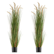 Artificial Grass Plant, 2 Pack 1499mm Horsetail Reed Grass in Pot, Premium PVC Faux Fake Greenery Shrubs V952-DPKMWCLS59INN4HXO001V0