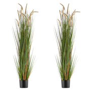 Artificial Grass Plant, 2 Pack 1499mm Horsetail Reed Grass in Pot, Premium PVC Faux Fake Greenery Shrubs V952-DPKMWCLS59INN4HXO001V0
