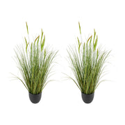Artificial Grass Plant, 2 Pack 889mm Cattail Grass in Pot, Premium PVC Faux Fake Greenery Shrubs Plant for V952-DPKXPLWCLS35CCHPH001V0