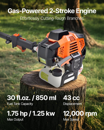 Gas Pole Saw, 43CC 2 Stroke Gas Powered Pole Saws with 25.4 cm Cutting Bar, Cordless Tree Trimmer with V952-ECCYJCS10INCBN4B0002V0