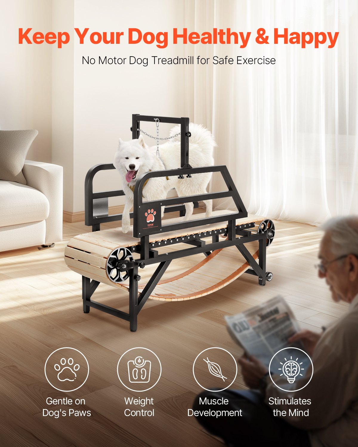 Dog Treadmill for Medium Dogs, 330lbs Weight Capacity, Dog Running Machine with Adjustable Ramps, 15.5" V952-FDDGGPBJZXQM3V0VLV0