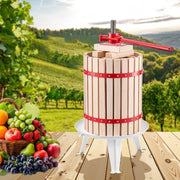 Fruit Wine Press Manual Press for Wine Making 4.75 Gal/18L Wood Basket V952-GJYZJLSSM18LC9D1UV0