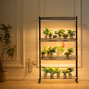 Plant Stand with Grow Lights 4 Tiers 180W 150 cm Tall Plant Grow Shelf V952-GNZWJ150CM90CHT6KV3