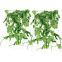 Cucumber Trellis for Climbing Plants, 35" x 55" Foldable Cucumber Trellis Set with Plant Clips, Metal Garden V952-HGPJTXCZAXJ3JGFLUV0