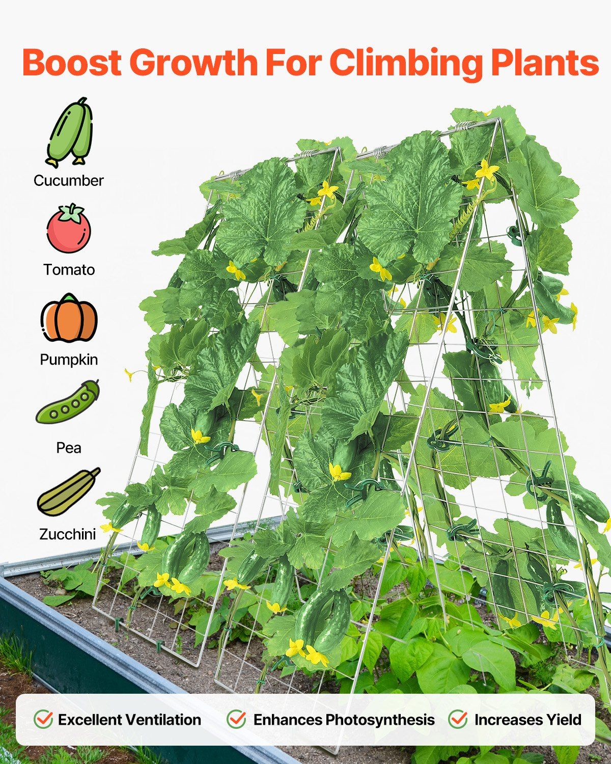 Cucumber Trellis for Climbing Plants, 35" x 55" Foldable Cucumber Trellis Set with Plant Clips, Metal Garden V952-HGPJTXCZAXJ3JGFLUV0