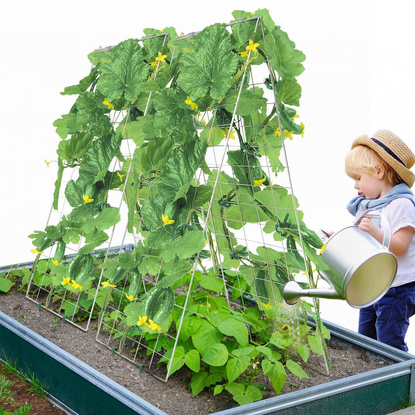 Cucumber Trellis for Climbing Plants, 35" x 55" Foldable Cucumber Trellis Set with Plant Clips, Metal Garden V952-HGPJTXCZAXJ3JGFLUV0