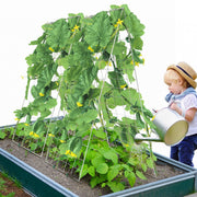 Cucumber Trellis for Climbing Plants, 35" x 55" Foldable Cucumber Trellis Set with Plant Clips, Metal Garden V952-HGPJTXCZAXJ3JGFLUV0