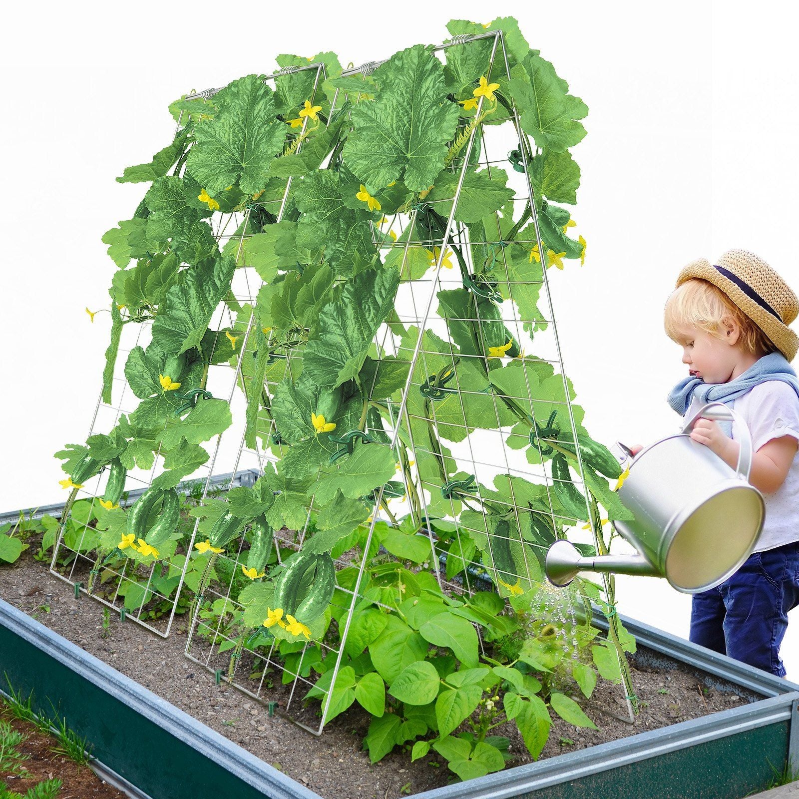 Cucumber Trellis for Climbing Plants, 35" x 55" Foldable Cucumber Trellis Set with Plant Clips, Metal Garden V952-HGPJTXCZAXJ3JGFLUV0