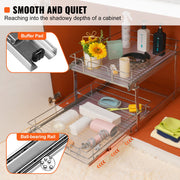 2 Tier 20"Wx21"Dx15"H Pull Out Cabinet Organizer, Heavy Duty Slide Out Pantry Shelves, Steel Roll Out V952-HGS220W21D15HSW3PV0