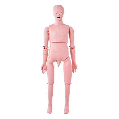 Nursing Training Manikin, Male Life Size Demonstration Human Manikin for Nursing Training, Multifunctional V952-HLRTMXDBLNXH3GWPCV0