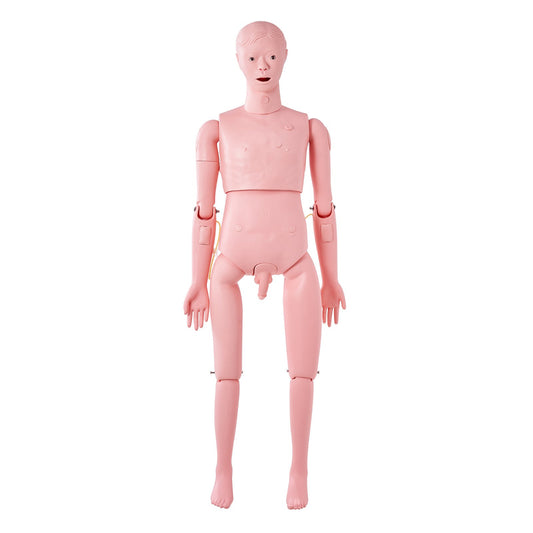 Nursing Training Manikin, Male Life Size Demonstration Human Manikin for Nursing Training, Multifunctional V952-HLRTMXDBLNXH3GWPCV0