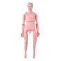 Nursing Training Manikin, Male Life Size Demonstration Human Manikin for Nursing Training, Multifunctional V952-HLRTMXDBLNXH3GWPCV0