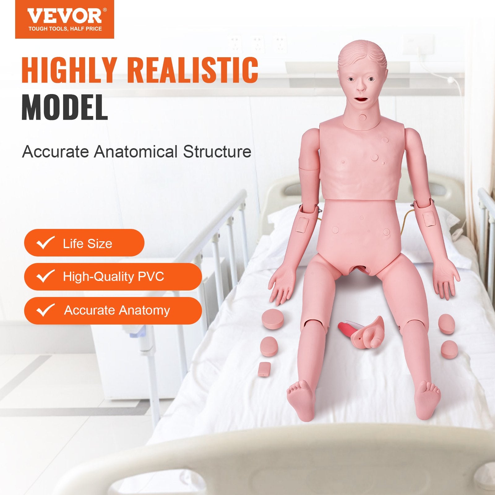 Nursing Training Manikin, Male Life Size Demonstration Human Manikin for Nursing Training, Multifunctional V952-HLRTMXDBLNXH3GWPCV0