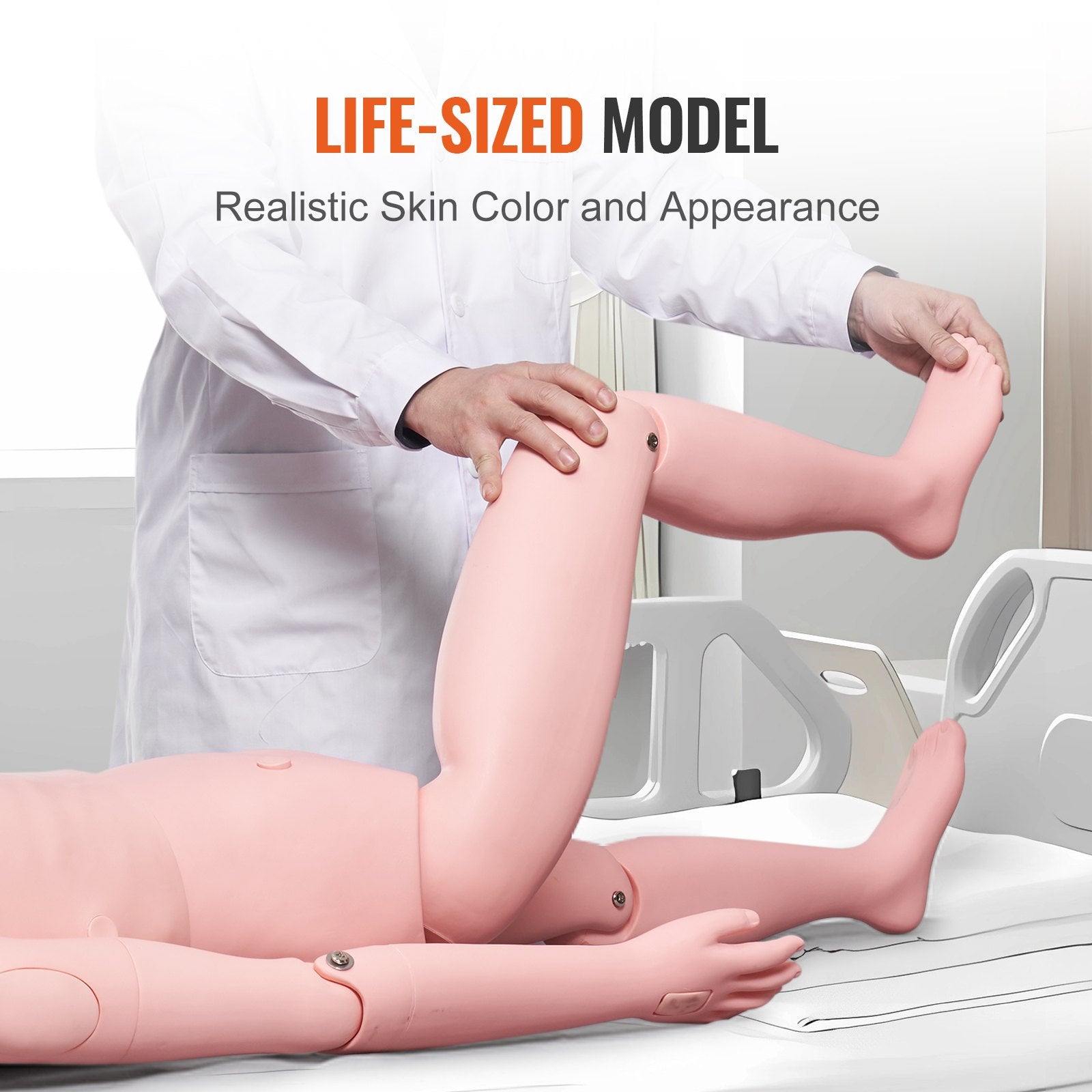 Nursing Training Manikin, Male Life Size Demonstration Human Manikin for Nursing Training, Multifunctional V952-HLRTMXDBLNXH3GWPCV0