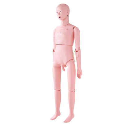 Nursing Training Manikin, Male Life Size Demonstration Human Manikin for Nursing Training, Multifunctional V952-HLRTMXDBLNXH3GWPCV0