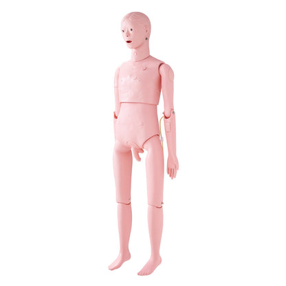 Nursing Training Manikin, Male Life Size Demonstration Human Manikin for Nursing Training, Multifunctional V952-HLRTMXDBLNXH3GWPCV0