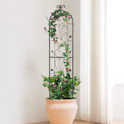 Metal Garden Trellis for Climbing Plant Support 60 x 15 in Rustproof V952-HPJHX1JTH60WGXYFNV0