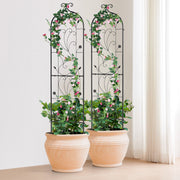 2 Packs Metal Garden Trellis for Climbing Plant Support 60x15 in Rustproof V952-HPJHX2JTH60WT4XPAV0