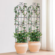 2 Packs Metal Garden Trellis for Climbing Plant Support 71x20 in Rustproof V952-HPJHX2JTH71WKVLCJV0