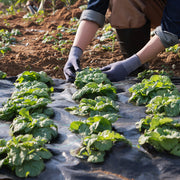 Weed Barrier Landscape Fabric 4*250FT Heavy Duty Woven PP Weed Control Mat V952-JBXBZ4250FT5TV2E2V0