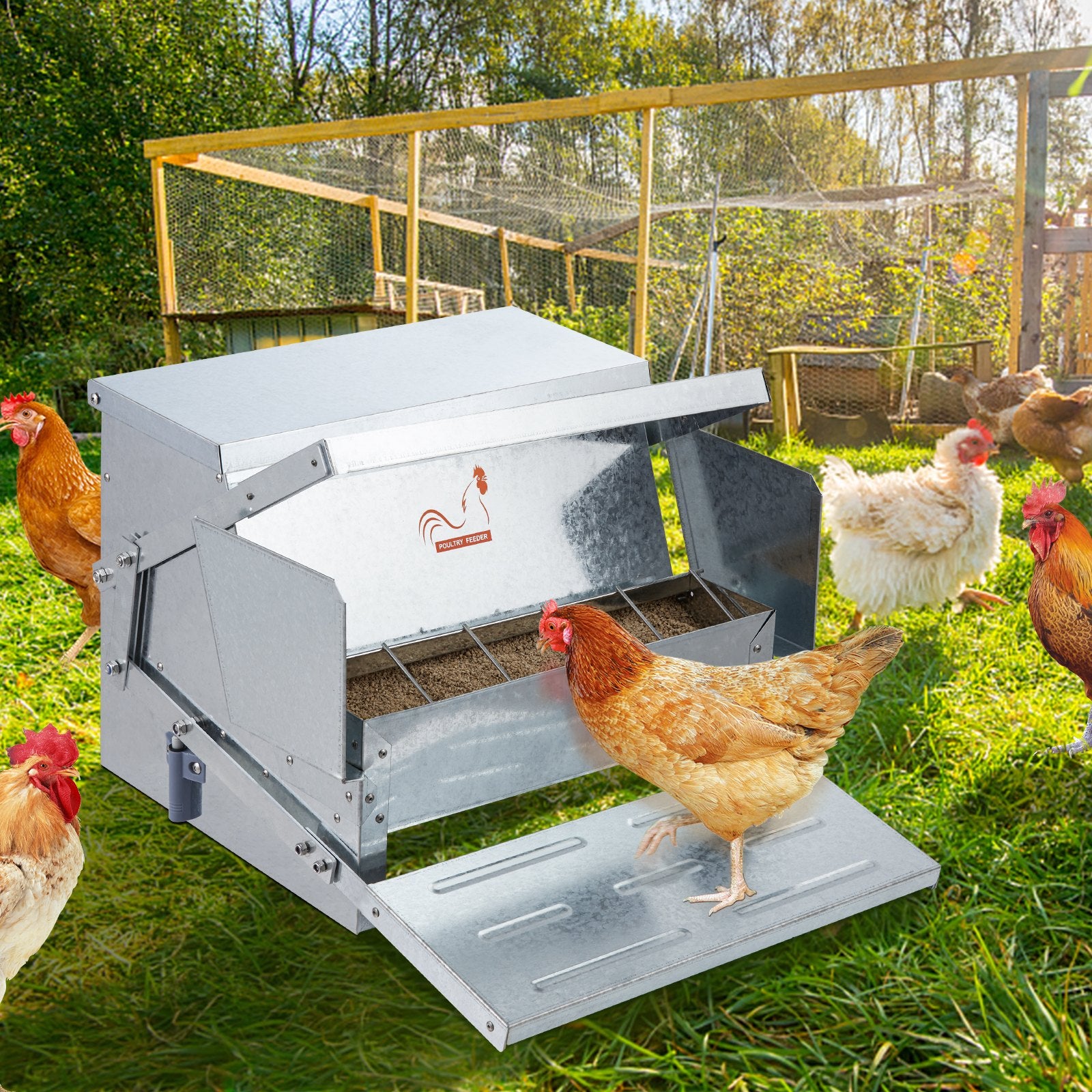 Automatic Chicken Feeder Galvanized Steel Poultry Feeder 25 lb 10 Chickens V952-JQWLQ25LBS00D0C1ZV0